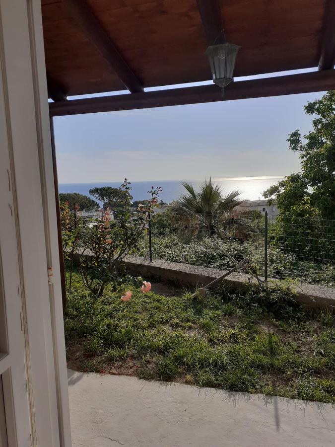 La Terrazzina Sul Tramonto Acomodação com café da manhã Forio di Ischia Exterior foto
