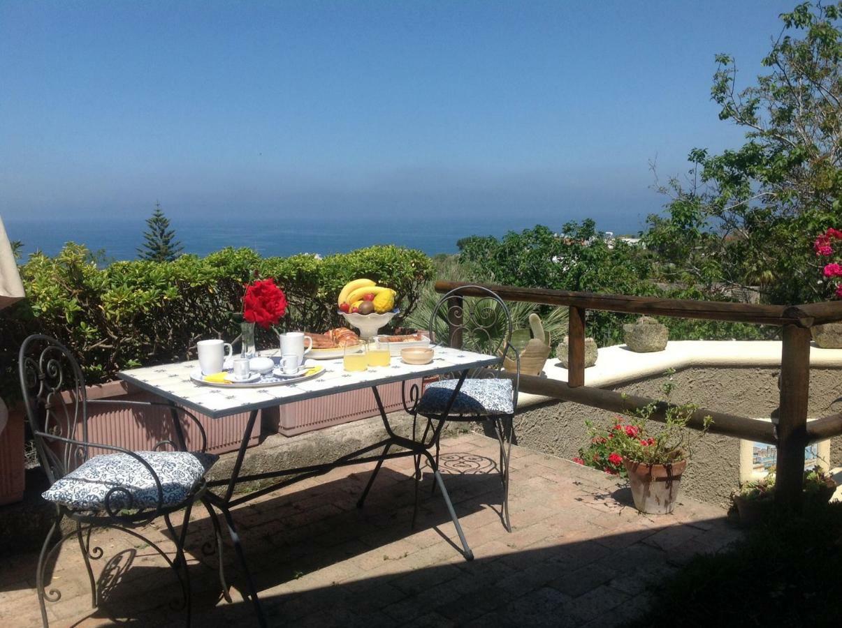 La Terrazzina Sul Tramonto Acomodação com café da manhã Forio di Ischia Exterior foto